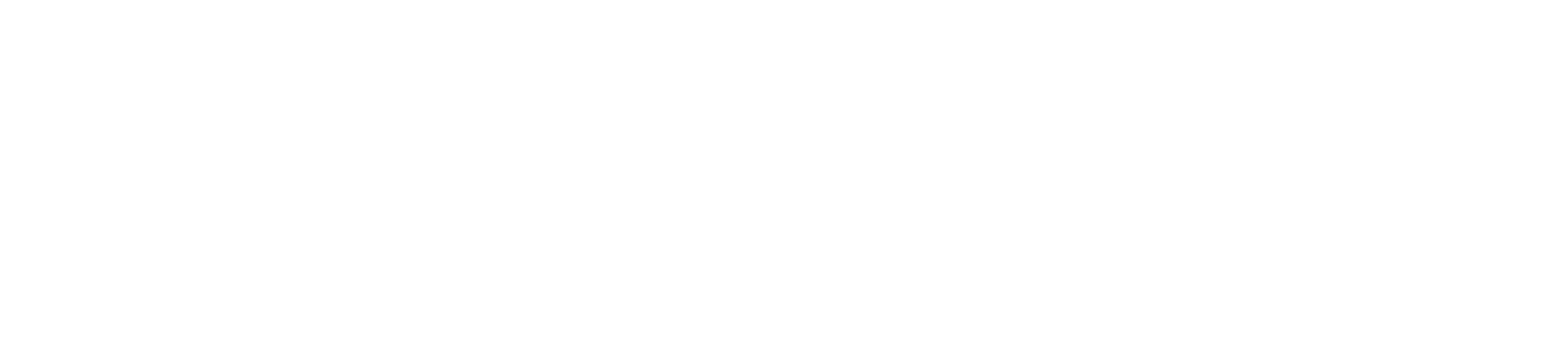 Honor Magic V6
